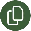 Copy Link