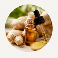Ginger (Adrak) Oil