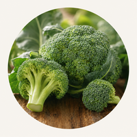 Broccoli