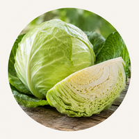Cabbage