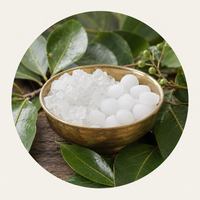 Camphor (Kapur)