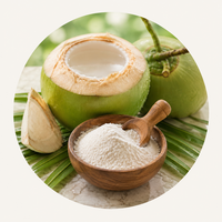 Coconut Water Powder