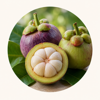 Garcinia