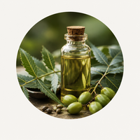Neem Oil