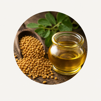 Methi (Fenugreek)