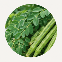 Moringa