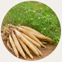 Shatavari