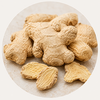 Sonth (Dry Ginger)