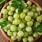 amla