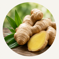 Ginger (Adrak)