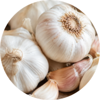 Lahsun (Garlic)