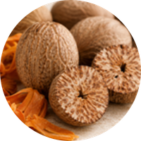 Nutmeg