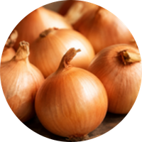 Onion