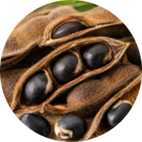 Kawach