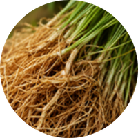 Khas (Vetiver)