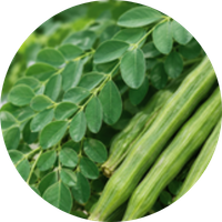 Moringa