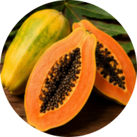 Papaya Extract