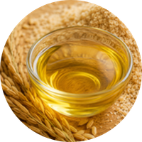 Rice Bran Oil