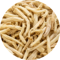 Safed Musli