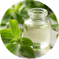 Stevia Extract