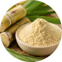 Sugarcane Juice Powder