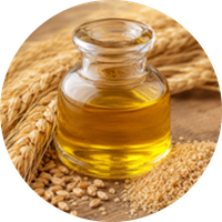 Wheatgerm Oil